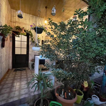Mr Guest House تبليسي المظهر الخارجي الصورة