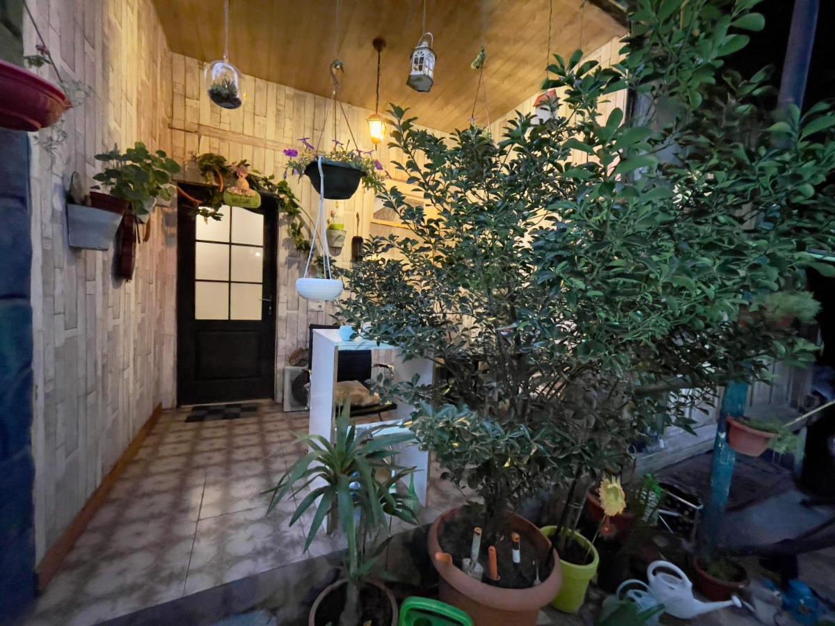 Mr Guest House تبليسي المظهر الخارجي الصورة